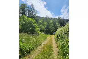 14621 Hwy 36, Deadwood, OR 97430 - Photo 3