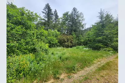 14621 Highway 36, Deadwood, OR 97430 - Photo 5