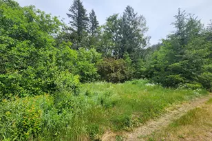 14621 Hwy 36, Deadwood, OR 97430 - Photo 5
