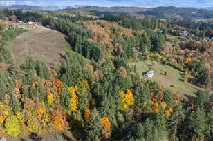 56220 SW Lee Falls Rd, Gaston, OR 97119 - Photo 39