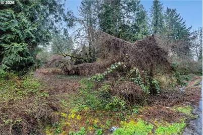 0 Ash St, Lake Oswego, OR 97034 - Photo 9