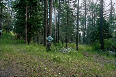 Chipmunk Lane, Wallowa Lake, OR 97846 - Photo 7
