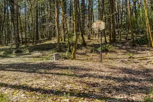 19037 NW Meadow Lake Rd, Yamhill, OR 97148 - Photo 39