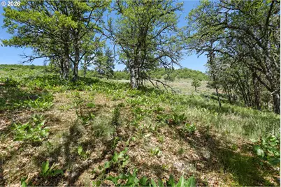 0 Nka Thompson Trail, Goldendale, WA 98620 - Photo 15