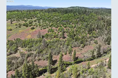 0 Nka Thompson Trail, Goldendale, WA 98620 - Photo 39