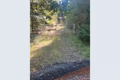 1890 Upper Camas Rd, Camas Valley, OR 97416 - Photo 3