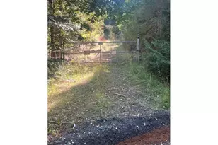 1890 Upper Camas Rd, Camas Valley, OR 97416 - Photo 3