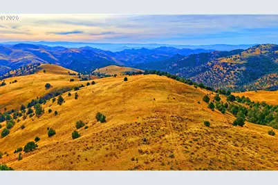 46457 Highway 218, Fossil, OR 97830 - Photo 11