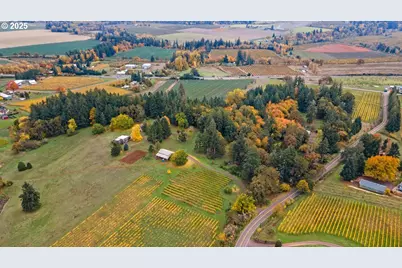 4210 NE Breyman Orchards Rd, Dayton, OR 97114 - Photo 43