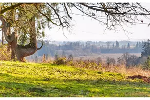 4210 NE Breyman Orchards Rd, Dayton, OR 97114 - Photo 37