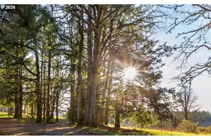 4210 NE Breyman Orchards Rd, Dayton, OR 97114 - Photo 33