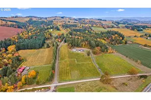 4210 NE Breyman Orchards Rd, Dayton, OR 97114 - Photo 43