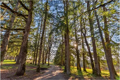 4210 NE Breyman Orchards Rd, Dayton, OR 97114 - Photo 31