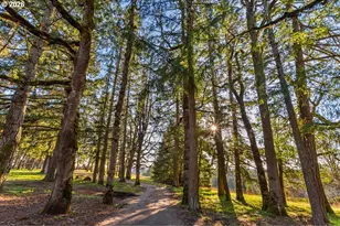 4210 NE Breyman Orchards Rd, Dayton, OR 97114 - Photo 31