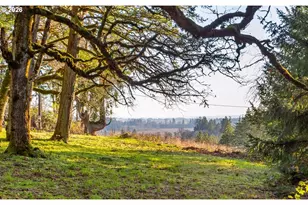 4210 NE Breyman Orchards Rd, Dayton, OR 97114 - Photo 35