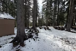 62388 Canyon View Ln, Elgin, OR 97827 - Photo 27