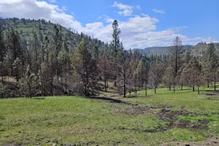 47345 Ritter Rd, Ritter, OR 97856 - Photo 33