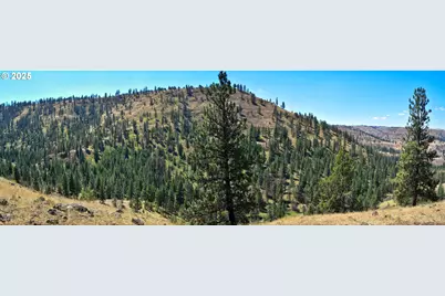 47345 Ritter Rd, Ritter, OR 97856 - Photo 47