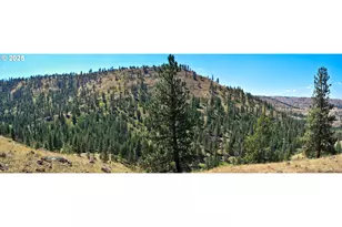 47345 Ritter Rd, Ritter, OR 97856 - Photo 47