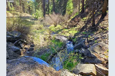 47345 Ritter Rd, Ritter, OR 97856 - Photo 43