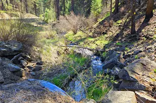 47345 Ritter Rd, Ritter, OR 97856 - Photo 43