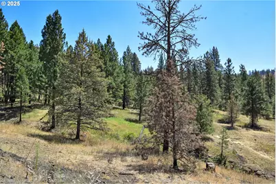 47345 Ritter Rd, Ritter, OR 97856 - Photo 39