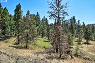 47345 Ritter Rd, Ritter, OR 97856 - Photo 39