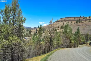 47345 Ritter Rd, Ritter, OR 97856 - Photo 31