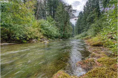 202 Edgewater Dr, Carson, WA 98610 - Photo 33