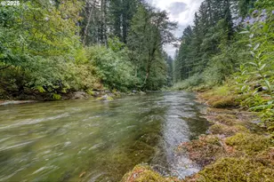 202 Edgewater Dr, Carson, WA 98610 - Photo 33