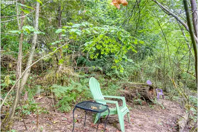 202 Edgewater Dr, Carson, WA 98610 - Photo 37