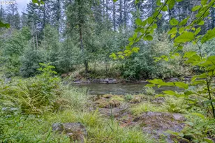 202 Edgewater Dr, Carson, WA 98610 - Photo 35