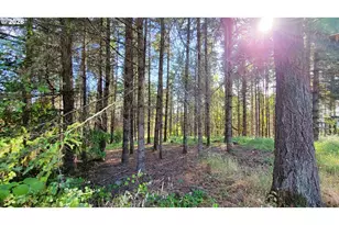 86820 Northill Ranch Rd, Eugene, OR 97402 - Photo 3