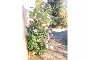 7413 NE 129th Ave, Vancouver, WA 98682 - Photo 39