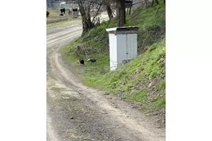 54605 Upper Dry Creek Rd, Weston, OR 97886 - Photo 23