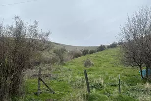 54605 Upper Dry Creek Rd, Weston, OR 97886 - Photo 21