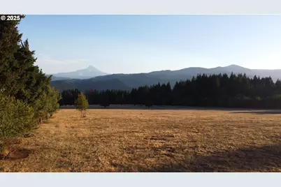 Cook Underwood Rd, Underwood, WA 98651 - Photo 11