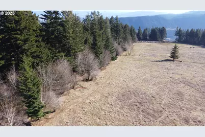 Cook Underwood Rd, Underwood, WA 98651 - Photo 7