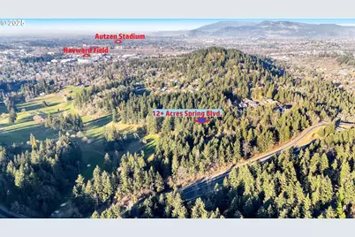 Spring Blvd., Eugene, OR 97403 - Photo 9
