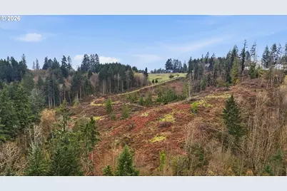Nw Pumpkin Ridge Rd, North Plains, OR 97133 - Photo 9