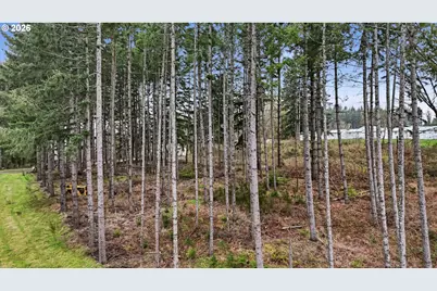 Nw Pumpkin Ridge Rd, North Plains, OR 97133 - Photo 5
