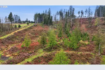 Nw Pumpkin Ridge Rd, North Plains, OR 97133 - Photo 13