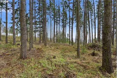 Nw Pumpkin Ridge Rd, North Plains, OR 97133 - Photo 3