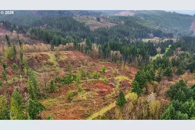 Nw Pumpkin Ridge Rd, North Plains, OR 97133 - Photo 11