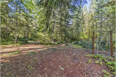 213 W 2nd St, Ryderwood, WA 98581 - Photo 31