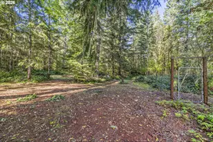 213 W 2nd St, Ryderwood, WA 98581 - Photo 31