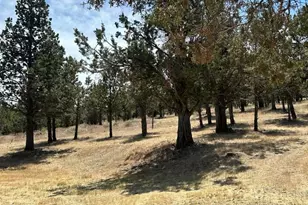7872 SE Thompson Ct, Prineville, OR 97754 - Photo 5