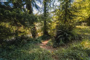 20365 Wilson River Hwy, Tillamook, OR 97141 - Photo 15