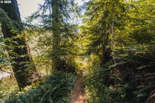 20365 Wilson River Hwy, Tillamook, OR 97141 - Photo 19