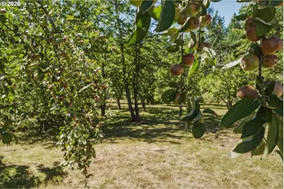 23173 SE Highway 212, Damascus, OR 97089 - Photo 9
